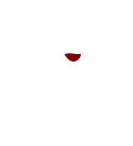 Logo Scholtes